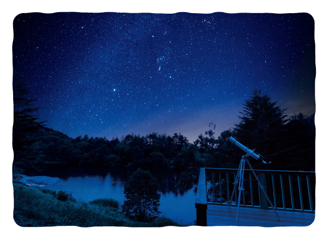 森から見える満天の星空